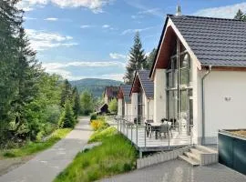 Gorgeous Home In Lautenthal With Sauna