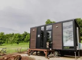 8 Farm Macadamia Plantation 1 by Tiny Away