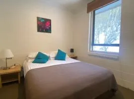 Snowland Apartment 5
