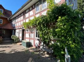 Bergfohlenhof，位于奥登瓦尔德县赫希斯特的酒店