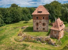 The knight's castle Zamek Rycerski B&B，位于Witków的酒店