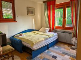 Cozy room with a bathroom，位于萨拉热窝的旅馆
