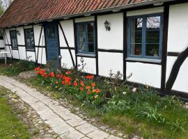 Half-timbered house in &Ouml;sterlen，位于Sj&ouml;bo的带热水浴缸的酒店