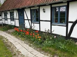 Half-timbered house in Österlen