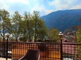 HOTEL NEW ! FLATIES ! PALACE Near LAKE - Full Naini Lake View and Mountain Valley View - Wi Fi - Room Service Available - A TOP RATED PREOPERTY