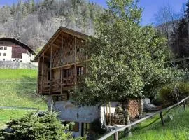 Mulino19- chalet in Val di Rabbi