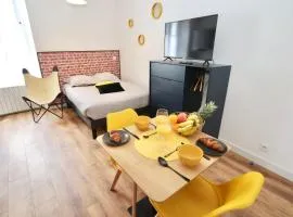 L'Ocre - Wifi - 400m centre Pontivy