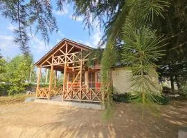 The Nest Farm Stay in Karsog