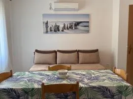 Family apartment Krivokapic