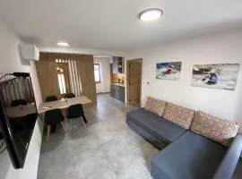 Apartmaji SOČA