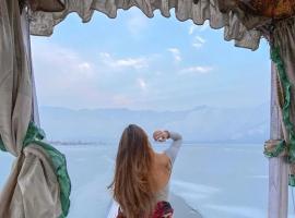 The Dreamer Destination' Houseboat，位于斯利那加的酒店