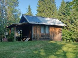 Hidden Cabin near Kočevje，位于科切维的酒店