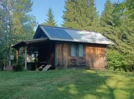 Hidden Cabin near Kočevje