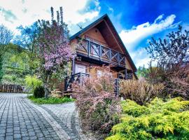 Domki u Piotra，位于索利纳的酒店