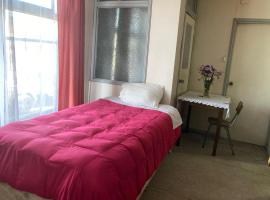 Hostal en Valdivia，位于瓦尔迪维亚的酒店