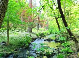 Charming cabin with private creek，位于普莱瑟维尔的酒店