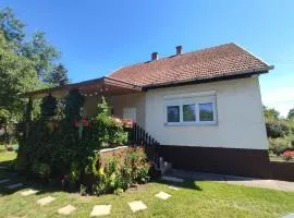 Holiday home in Agard - Velence-See 20586