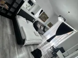 Ultra Central Piata Libertatii Apartment