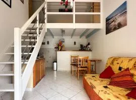 Maison familiale proche plage - La Palmyre - FR-1-705-101