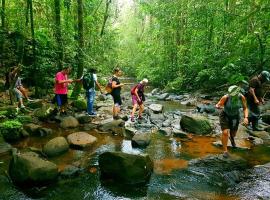 The Rain Forest，位于Gulawita的酒店