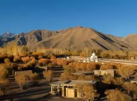 The Postcard in The Himalayan Willows, Stok, Leh