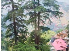 HOTEL #KRISHNA B&B Śhimla Near Mall Road- Free Wi-fi And Restaurant & Mountain View -Best Hotel In Śhimla!，位于西姆拉的酒店