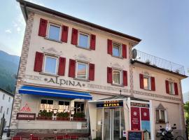Hotel Alpina，位于策尔内茨的酒店