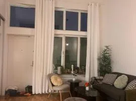 Beautiful Apartment with a Loft