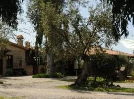 Agriturismo I GELSI
