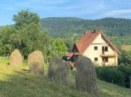 W górach nad strumieniem