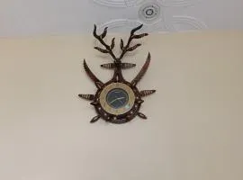 Niharika Homestay