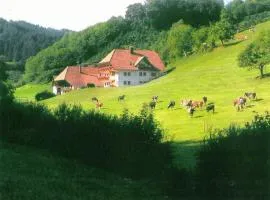 Comfortable holiday home in a beautiful location