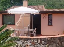 Michi's House Casa Vacanze