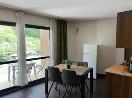 Studio à Jausiers - Terrasse & Animaux admis - FR-1-165B-56
