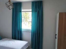 Apartman David