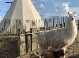 Le tipi d'Adri，位于Gesves的酒店