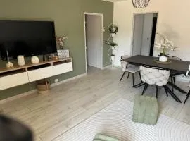 Belle appartement calme proche aéroport 80m2