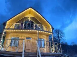 Аревацахик Подсолнух, Sunflower