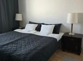 Spacious 2BR Apartment near Olavinlinna Castle