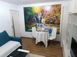 Apartament 2 camere