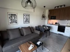 Apartament Kasztanówka