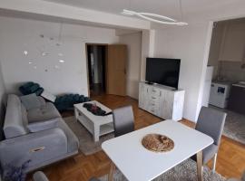 AS Apartment Tetovo，位于泰托沃的酒店