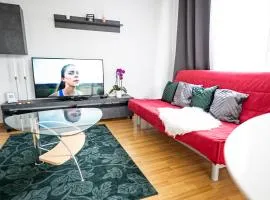 Flat at border suisse