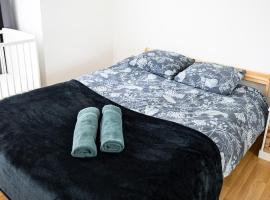 Flat at border suisse，位于圣路易的酒店