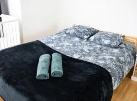 Flat at border suisse