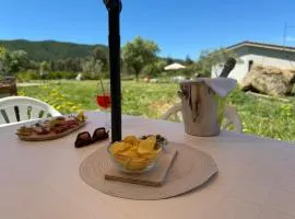 B&B Sensorial Experience