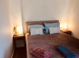 The Blue Wren free wifi