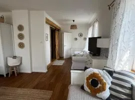 chalupa Dřemčice -České středohoří