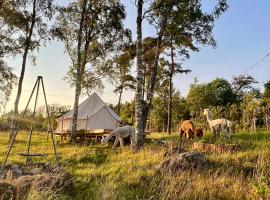 Glamping med alpackor，位于拉霍尔姆的豪华帐篷营地