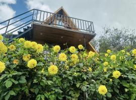 Dreamy Wonders Resorts，位于科代卡纳尔的酒店
